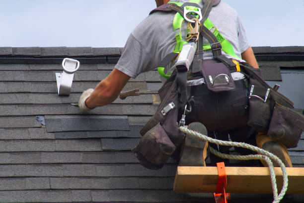 Best Roof Maintenance Services  in La Harpe, IL
