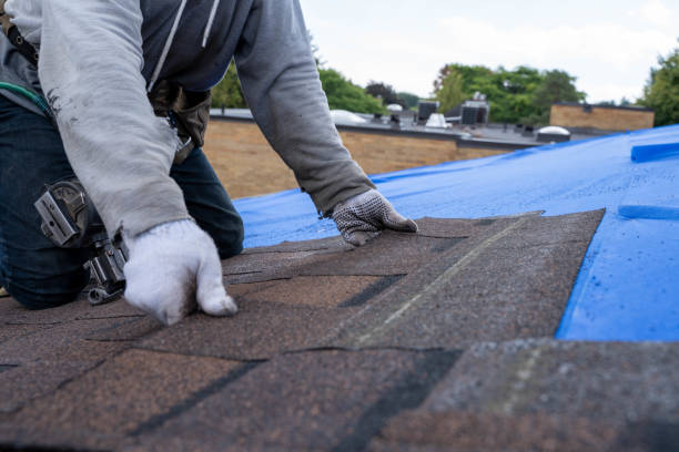 Best Shingle Roofing Installation  in La Harpe, IL