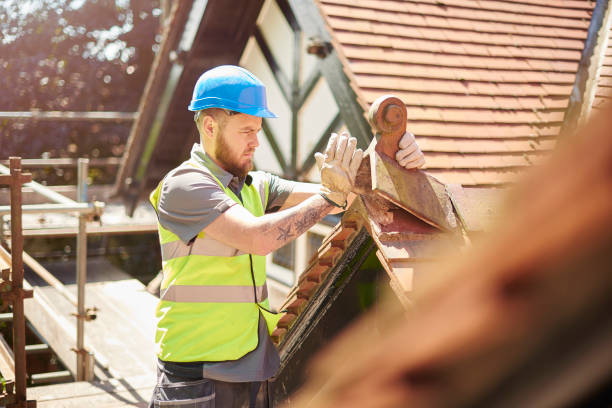 Best Metal Roofing Contractor  in La Harpe, IL