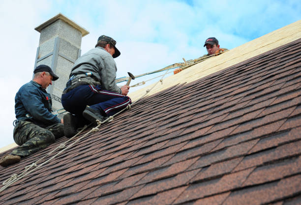 Best Local Roofing Companies  in La Harpe, IL